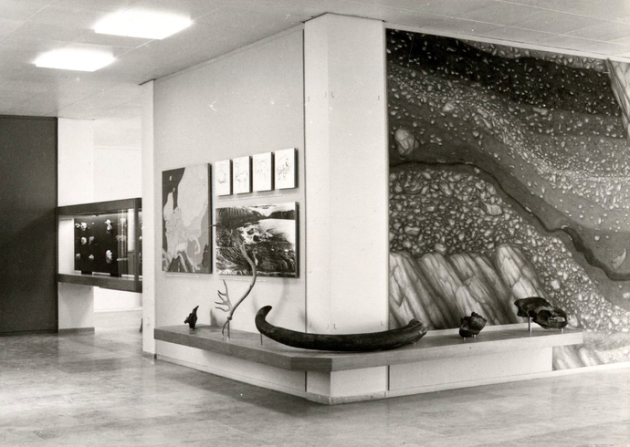 Blick in die Ausstellungsräume des Westfälischen Landesmuseums für Vor- und Frühgeschichte, 1970