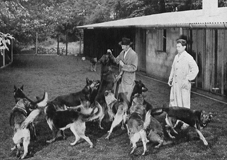 Führhunde in der Ausbildung mit ihren Ausbildern